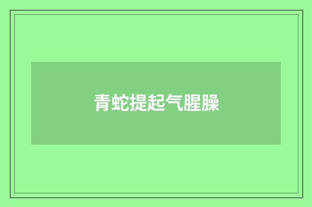 青蛇提起气腥臊