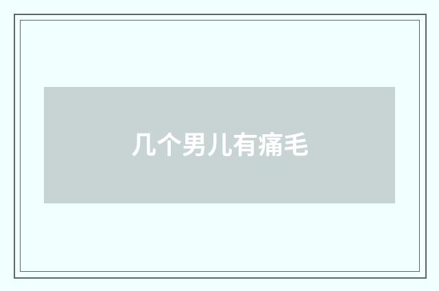 几个男儿有痛毛
