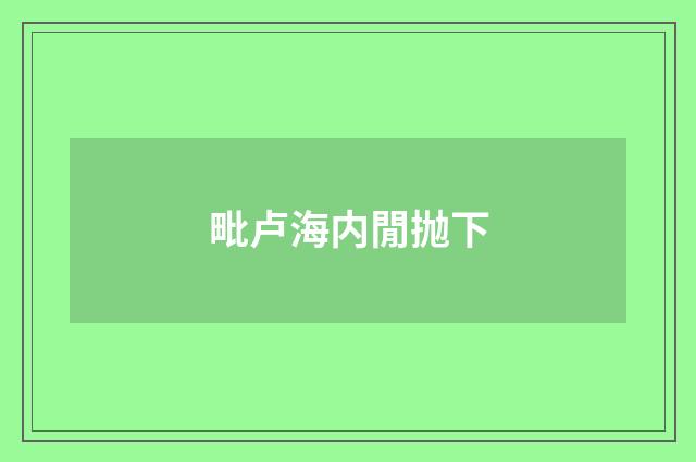 毗卢海内閒抛下