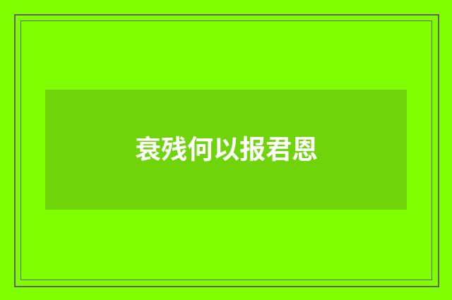 衰残何以报君恩