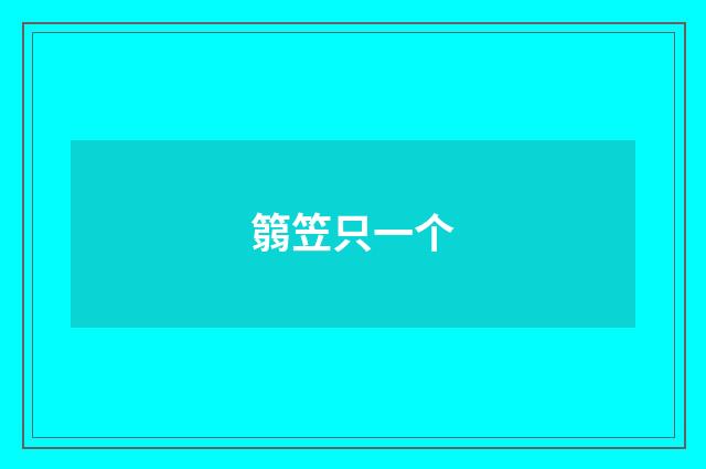 篛笠只一个