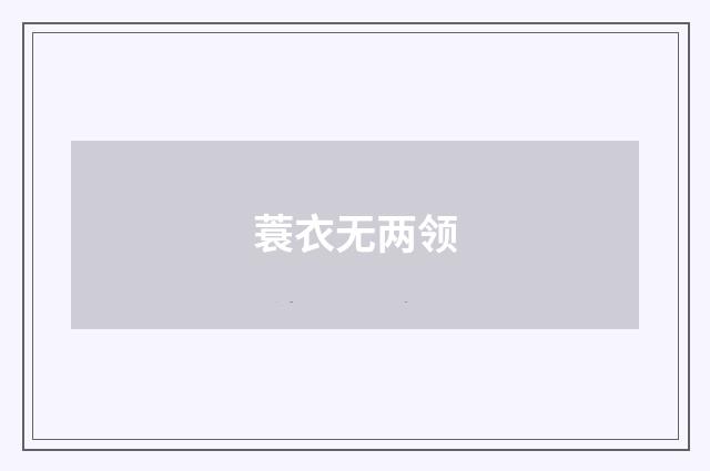 蓑衣无两领