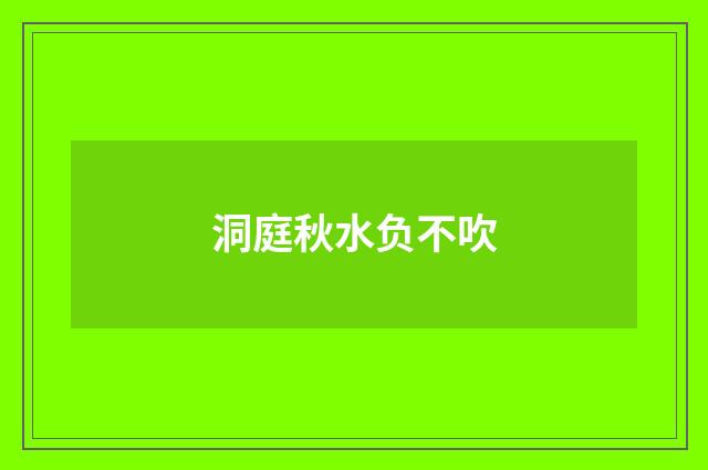 洞庭秋水负不吹