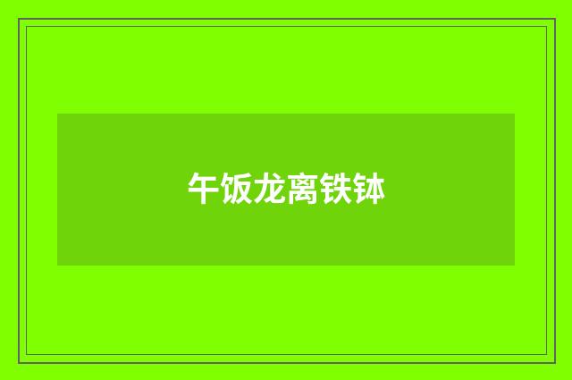 午饭龙离铁钵