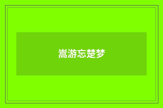嵩游忘楚梦