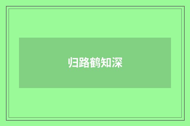 归路鹤知深