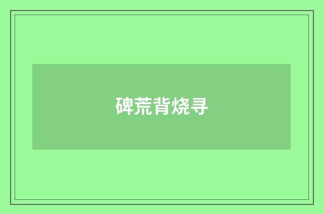 碑荒背烧寻