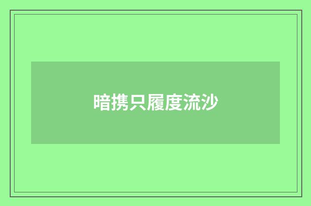 暗携只履度流沙