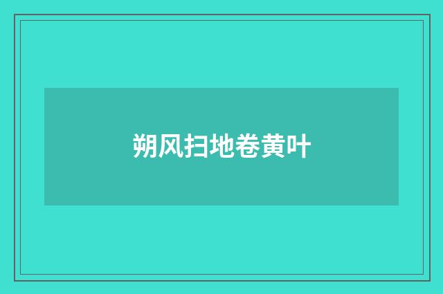 朔风扫地卷黄叶