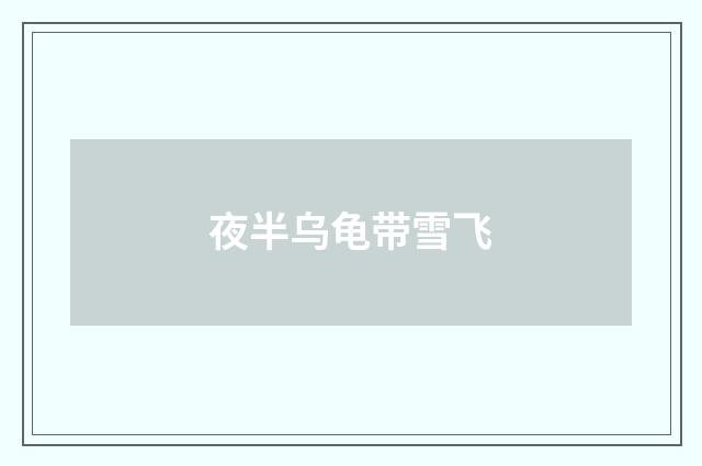 夜半乌龟带雪飞