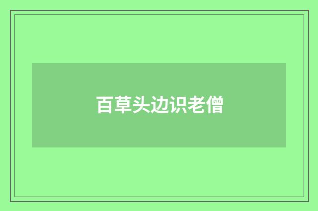 百草头边识老僧