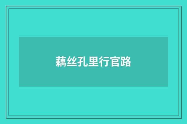 藕丝孔里行官路
