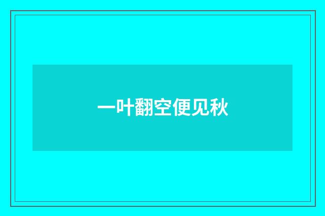 一叶翻空便见秋