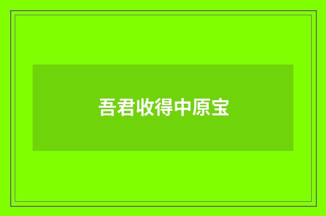 吾君收得中原宝