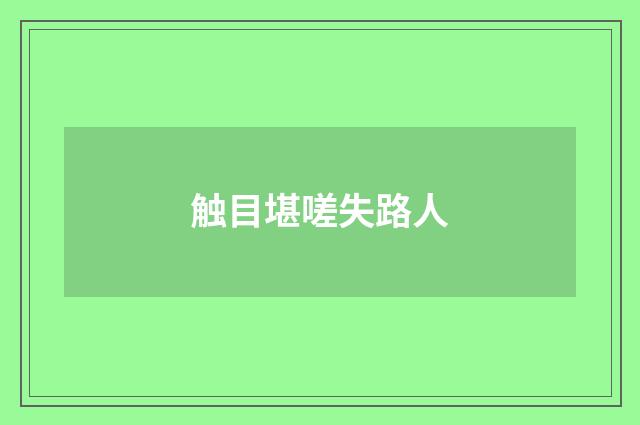 触目堪嗟失路人