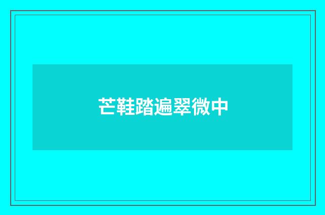 芒鞋踏遍翠微中