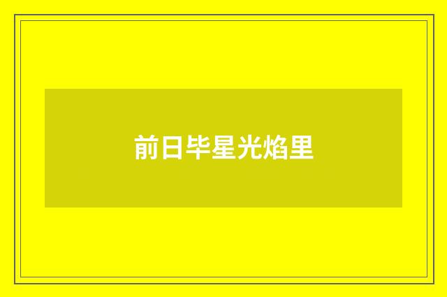 前日毕星光焰里