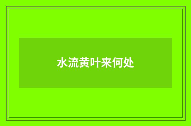 水流黄叶来何处