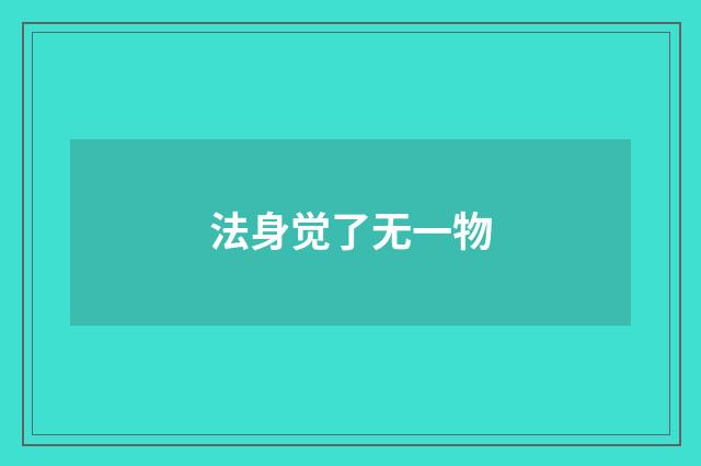 法身觉了无一物