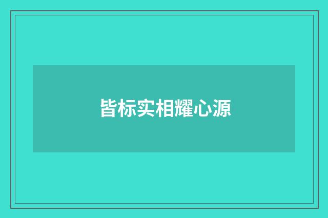 皆标实相耀心源