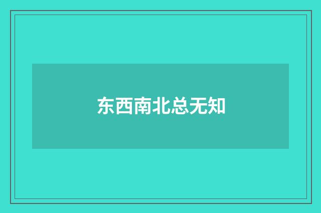 东西南北总无知