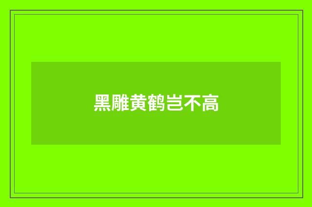 黑雕黄鹤岂不高