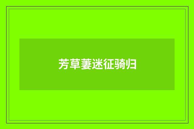 芳草萋迷征骑归