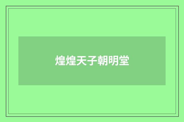 煌煌天子朝明堂