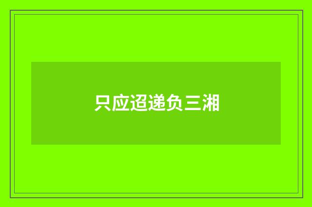 只应迢递负三湘