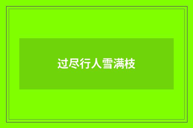过尽行人雪满枝