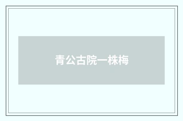 青公古院一株梅