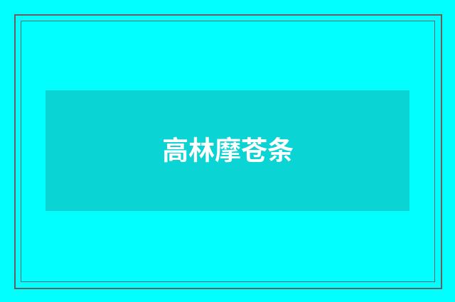 高林摩苍条