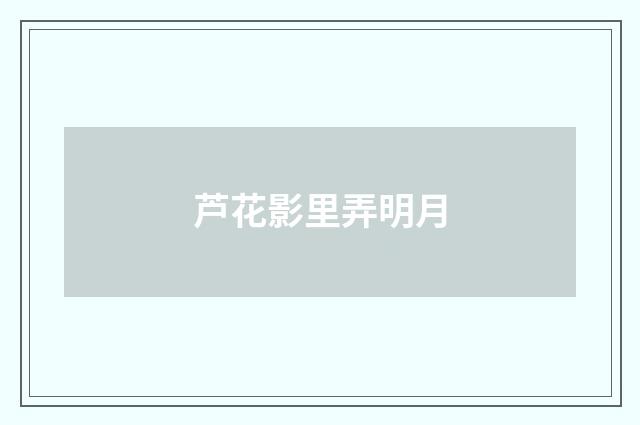 芦花影里弄明月