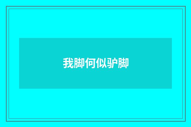 我脚何似驴脚