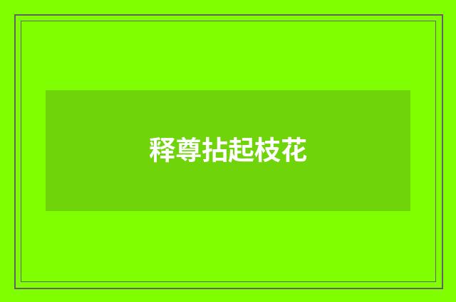 释尊拈起枝花