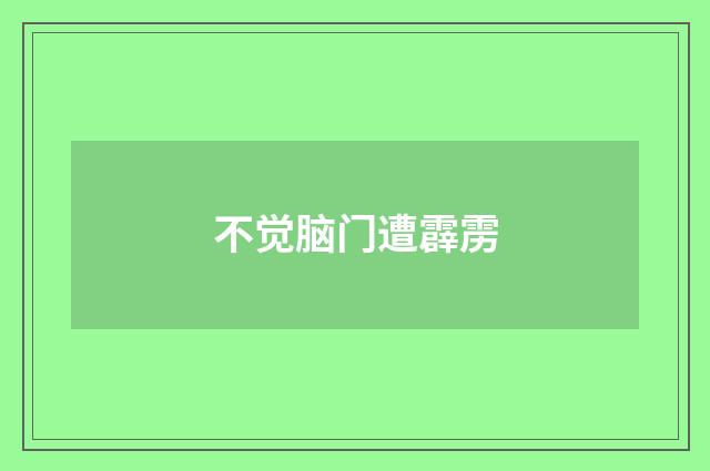 不觉脑门遭霹雳