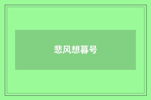 悲风想暮号