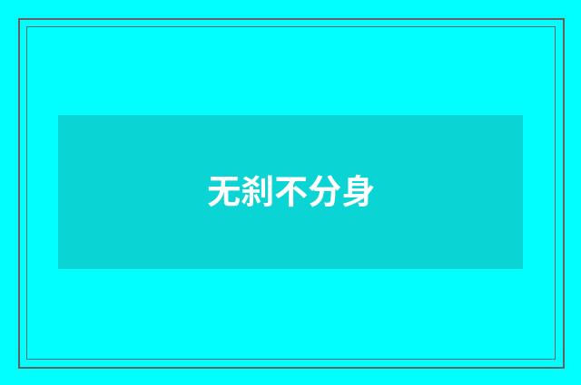 无刹不分身