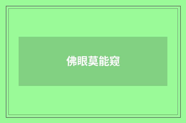 佛眼莫能窥