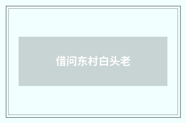 借问东村白头老
