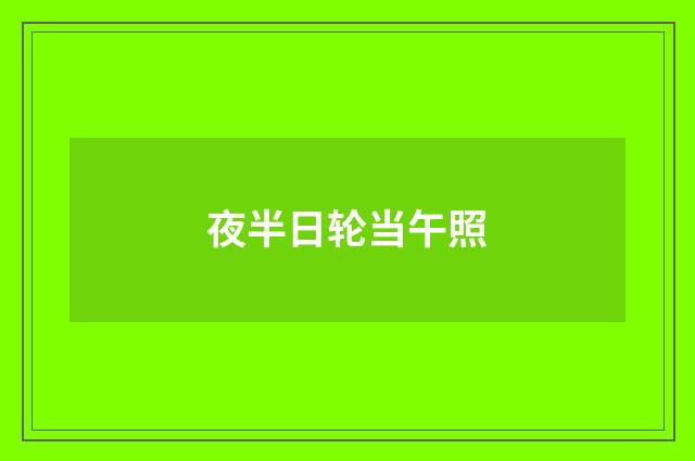 夜半日轮当午照