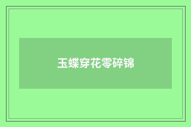 玉蝶穿花零碎锦