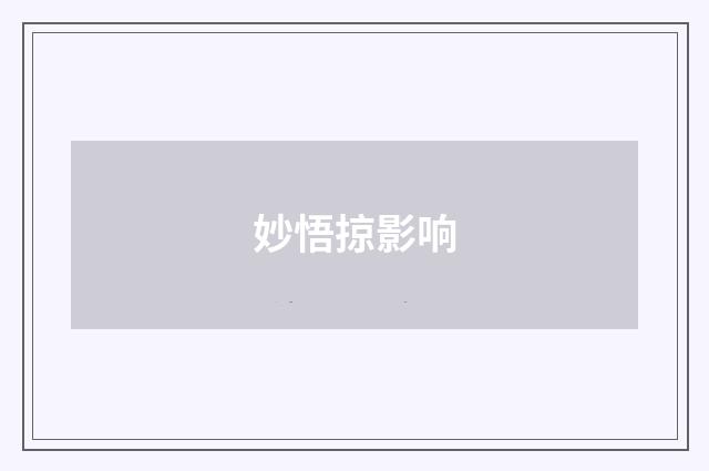 妙悟掠影响