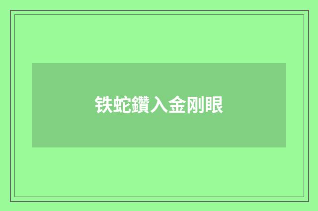 铁蛇鑽入金刚眼