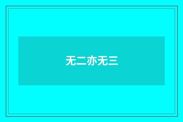 无二亦无三