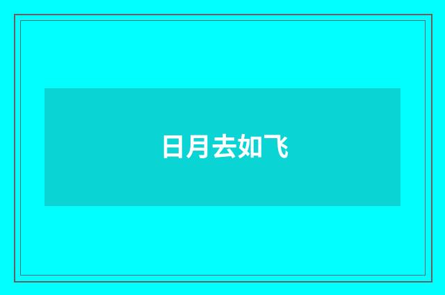 日月去如飞