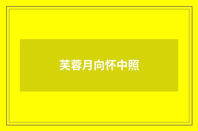 芙蓉月向怀中照