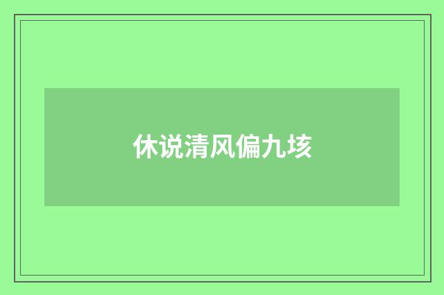 休说清风偏九垓