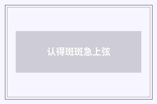 认得斑斑急上弦