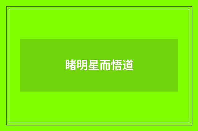 睹明星而悟道